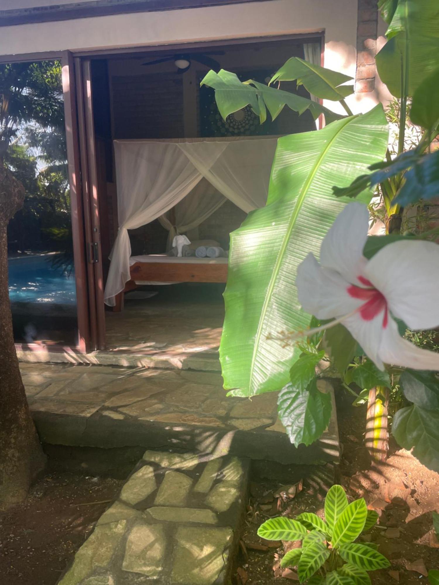 Hostal Casa Abierta León Exterior foto